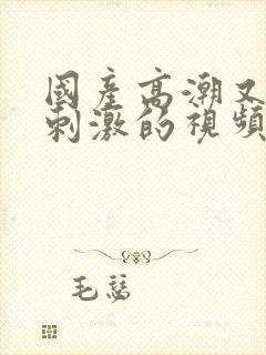 国产高潮又爽又刺激的视频免费