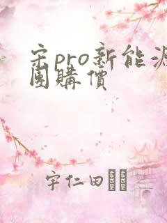 宋pro新能源团购价