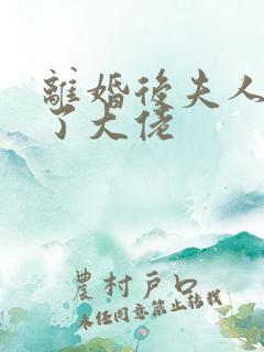 离婚后夫人她成了大佬