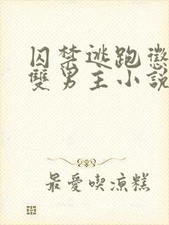 囚禁逃跑惩罚的双男主小说免费攻受