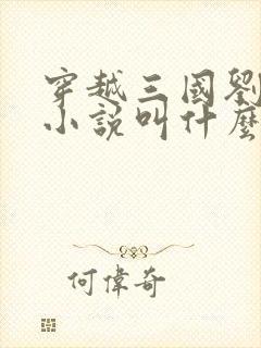 穿越三国刘武的小说叫什么