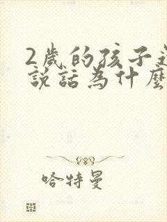 2岁的孩子还不说话为什么