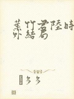 叶竹君陆时琛番外结局