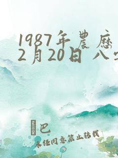 1987年农历2月20日 八字