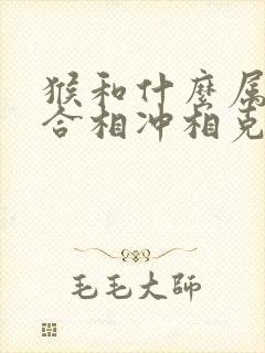 猴和什么属相相合相冲相克