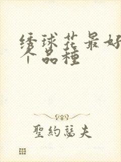 绣球花最好的三个品种