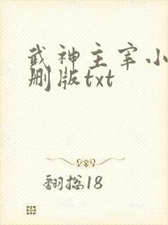 武神主宰小说未删版txt