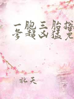 一胞三胎总裁爹爹超凶猛免费阅读全文