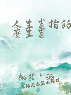 人生肖指的是什么生肖