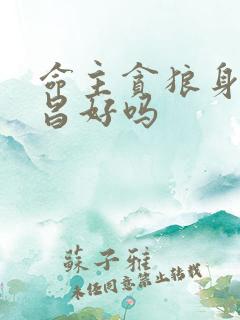 命主贪狼身主文昌好吗