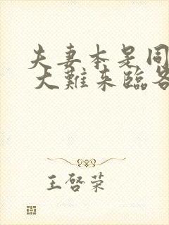 夫妻本是同林鸟 大难来临各自飞