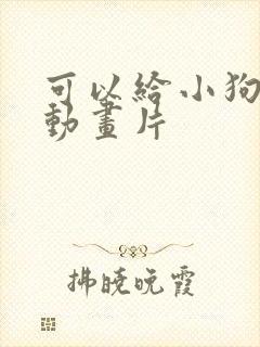 可以给小狗看的动画片