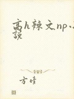 高h辣文np小说