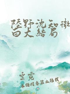 陆野沈知微江屿白大结局