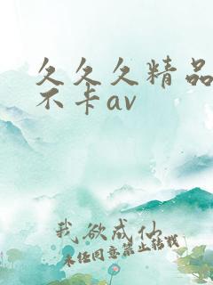 久久久精品亚洲不卡av