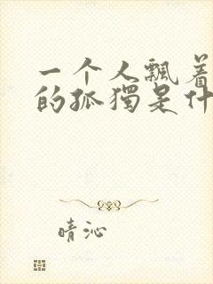一个人飘着孤单的孤独是什么歌