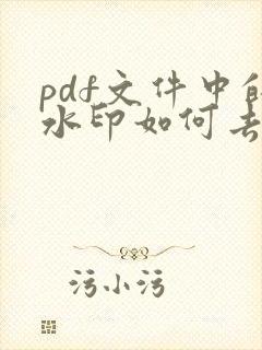pdf文件中的水印如何去掉