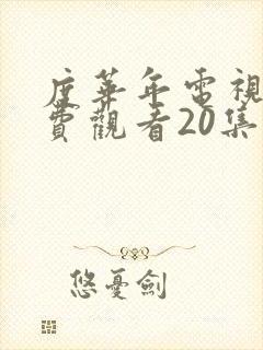 度华年电视剧免费观看20集