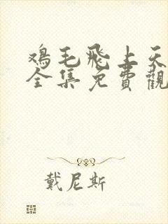 鸡毛飞上天在线全集免费观看