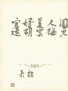 官婿美人图陈志远胡云梅免费阅读