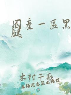 国产一区黑丝美腿