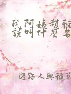 我阿姨赵雅琳小说叫什么名字