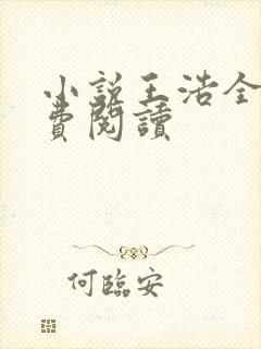 小说王浩全文免费阅读