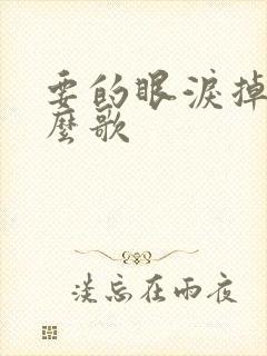 要的眼泪掉是什么歌