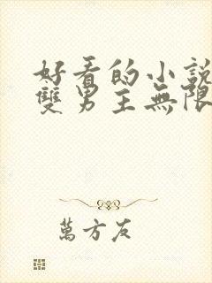 好看的小说推荐双男主无限流