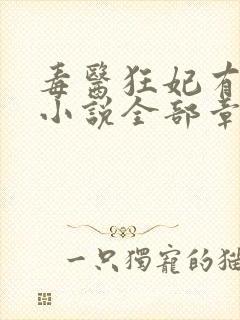 毒医狂妃有点拽小说全部章节