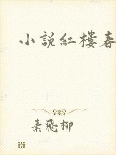 小说红楼春