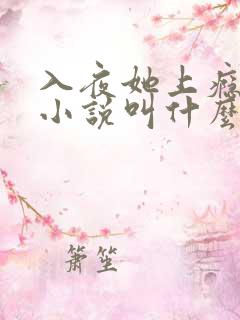 入夜她上瘾原著小说叫什么