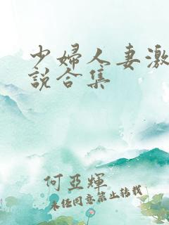 少妇人妻激情小说合集