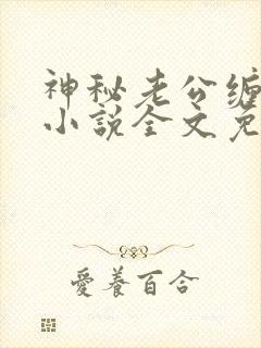 神秘老公缠上我小说全文免费阅读