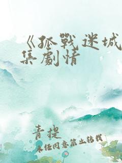 《孤战迷城》分集剧情