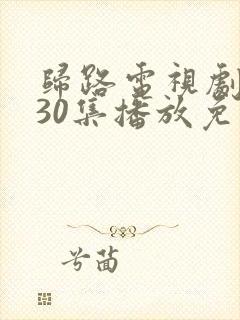 归路电视剧全集30集播放免费观看