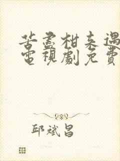 苦尽柑来遇见你电视剧免费观看高清