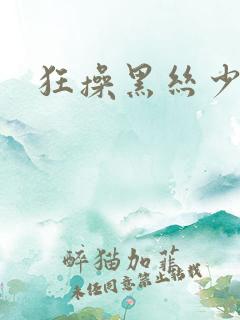 狂操黑丝少妇