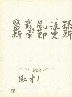医武风流孙哲最新章节更新
