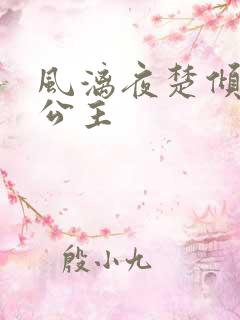 风漓夜楚倾歌九公主
