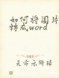 如何将图片表格转成word