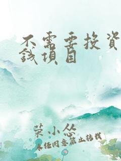 不需要投资的赚钱项目