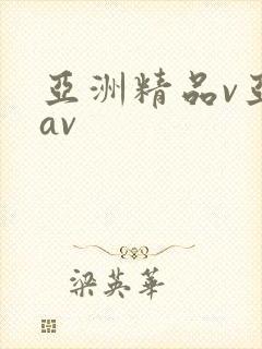 亚洲精品v亚洲av
