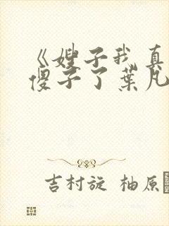《嫂子我真不是傻子了叶凡》