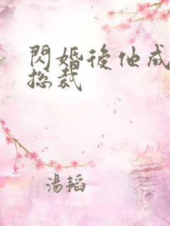 闪婚后他成宠妻总裁