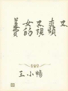 美女又爽又黄免费的视频