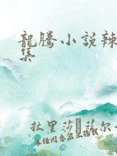 龙腾小说辣文合集