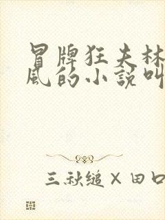 冒牌狂夫林悦顾风的小说叫什么