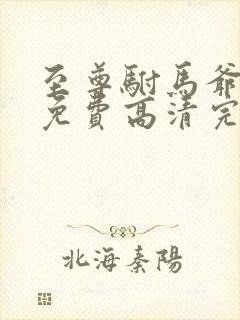 至尊驸马爷短剧免费高清完整版