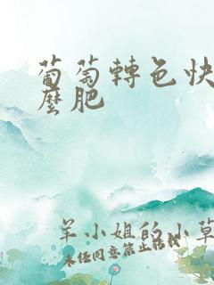 葡萄转色快用什么肥